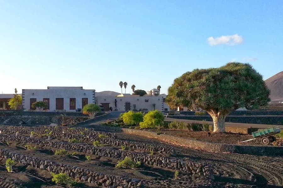 Bodegas La Florida