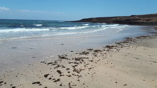 Playa de las Caletillas