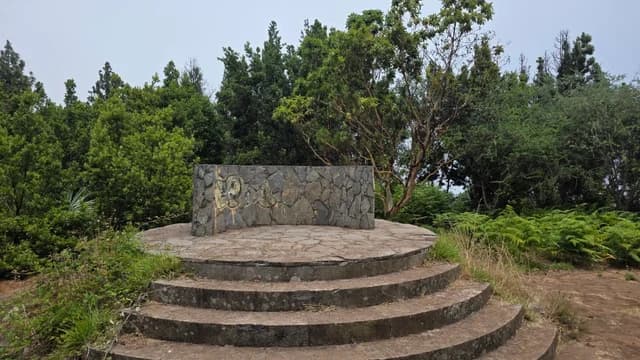 Pico de las Flores