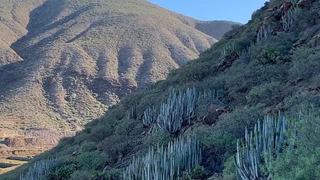 Monumento Natural de La Montaña de Guaza