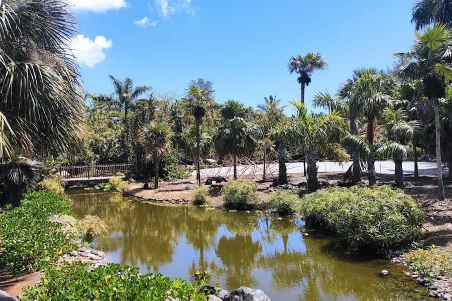 Palmetum Jardin Botánico