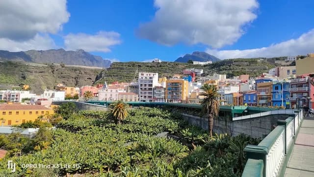 Casa Massieu