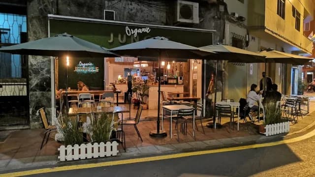 Organic Jungle Brunch and specialty coffee