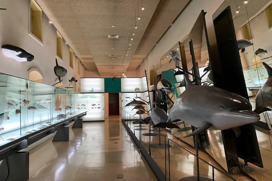 Museo de Naturaleza y Arqueología. MUNA.