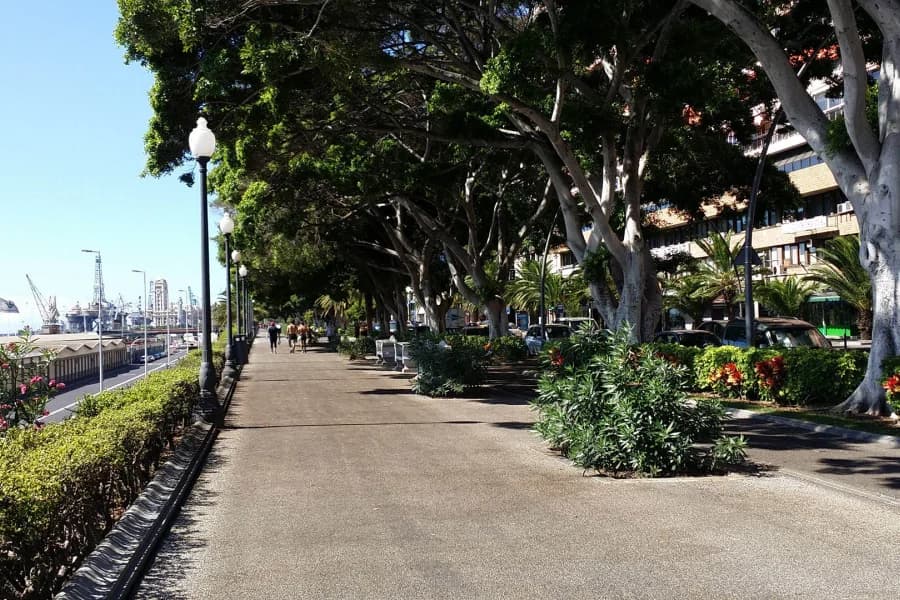 Avenida De Anaga