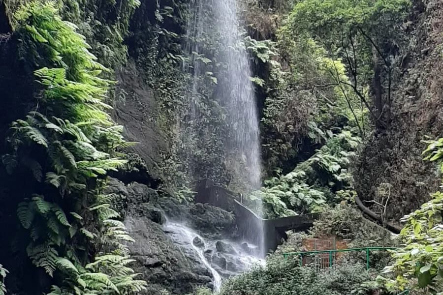 Cascada De Los Tilos