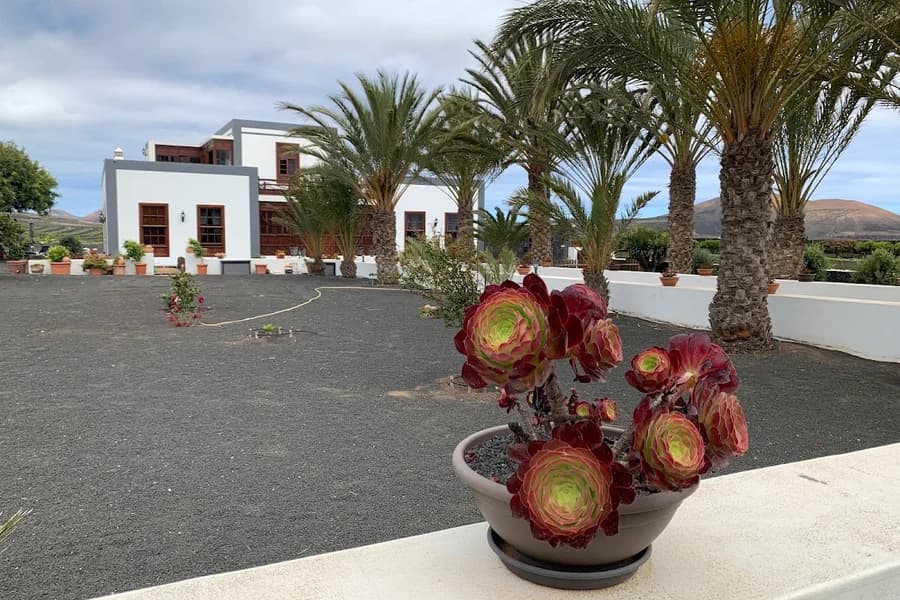 Bodega Los Bermejos