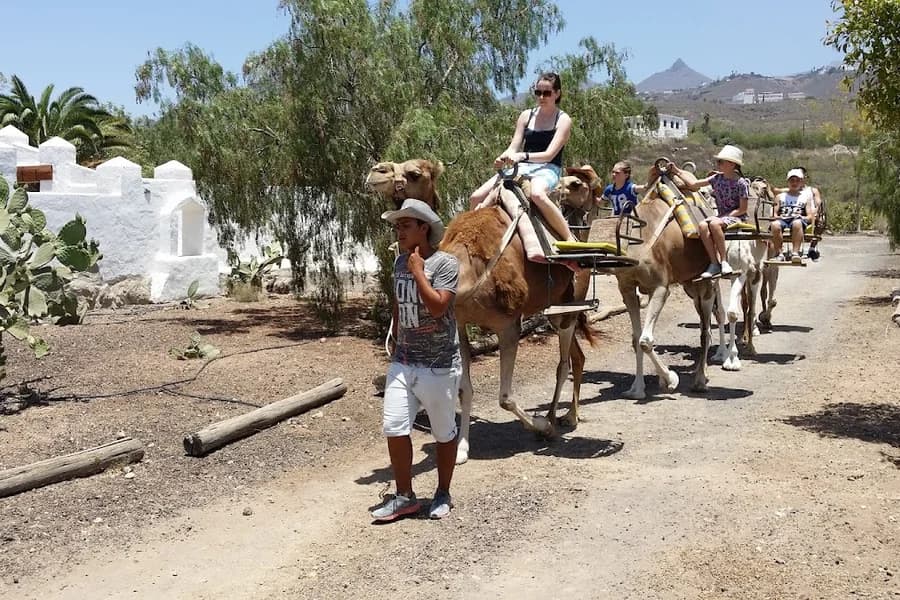 Camel Park Tenerife