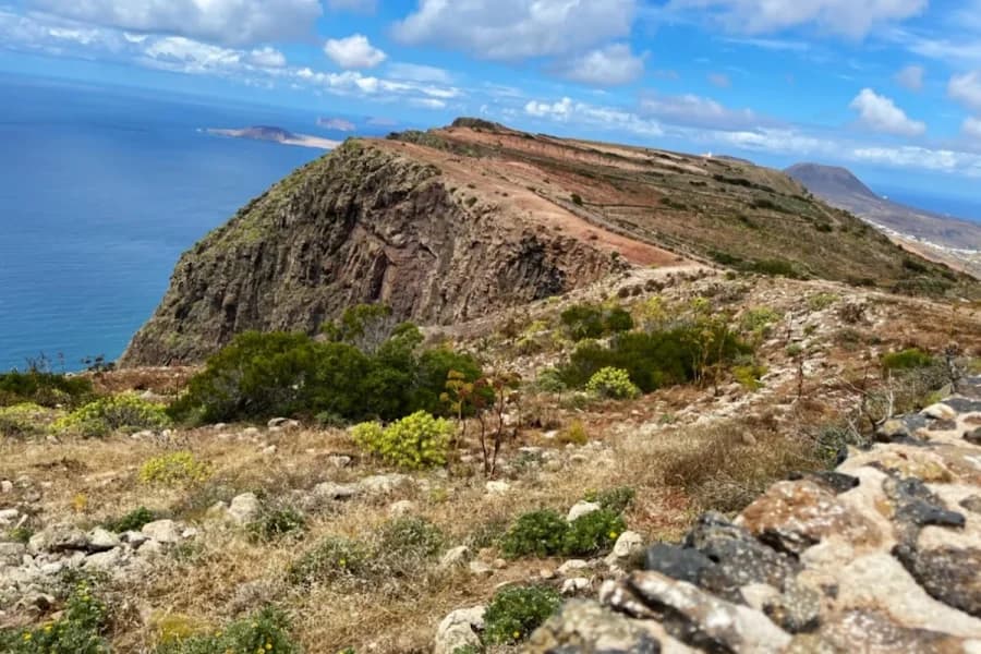 El Bosquecillo