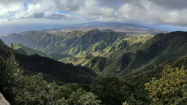 El Bosque de Los Enigmas