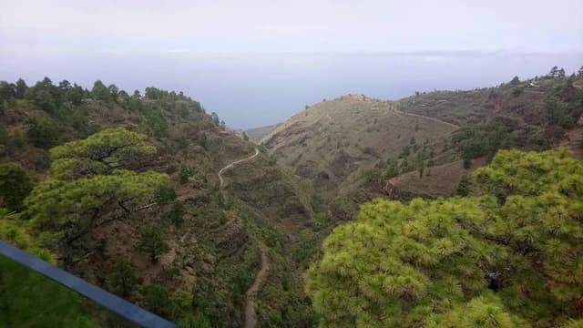 Area recreativa El Fayal