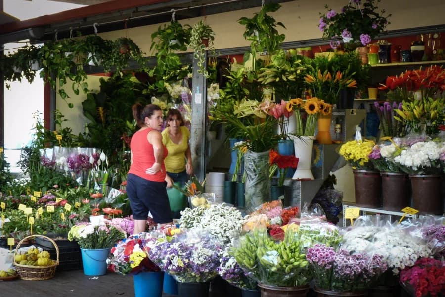 Mercado La Laguna