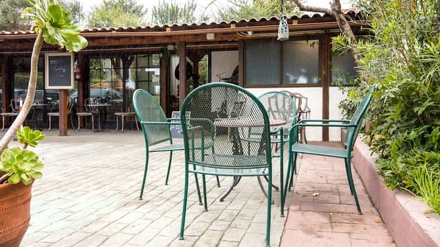 Tajinaste del Refugio