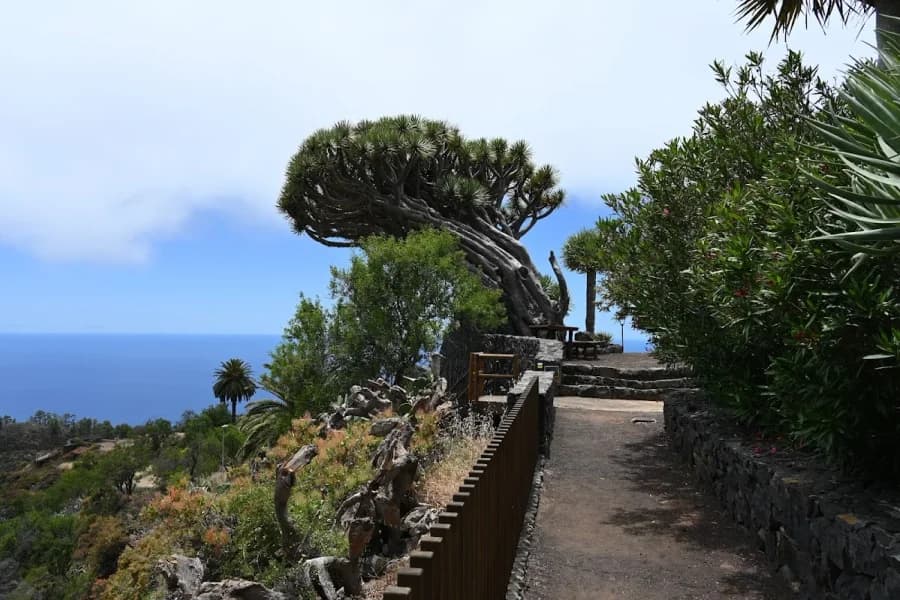 Mirador de Los Dragos