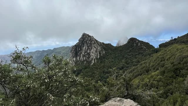Roque de La Zarcita