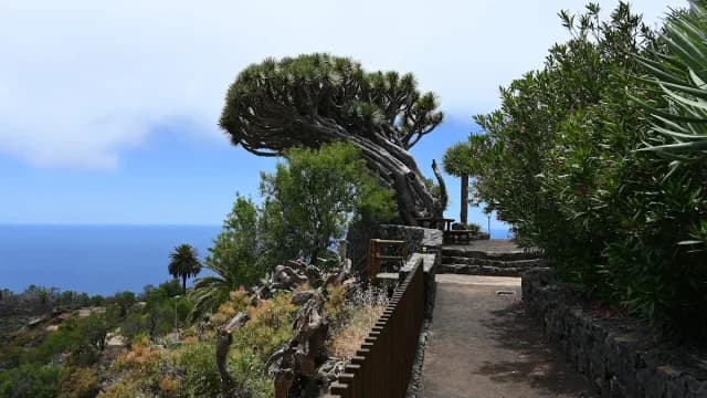 Mirador de Los Dragos
