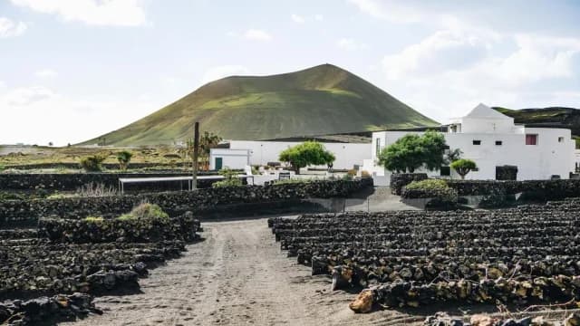 Bodegas EL GRIFO