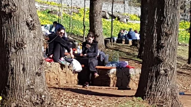 Área Recreativa de la Laguna de Valleseco