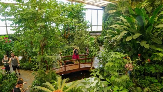 Mariposario del Drago