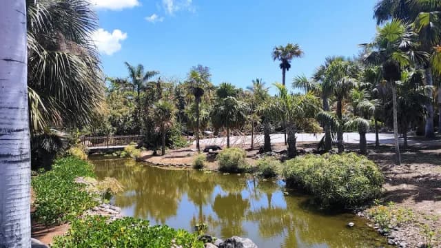 Palmetum Jardin Botánico