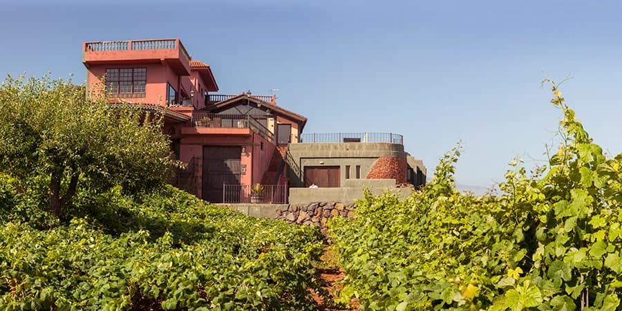 Bodegas Monje