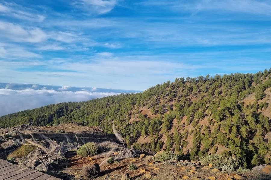 Llano de Las Ánimas