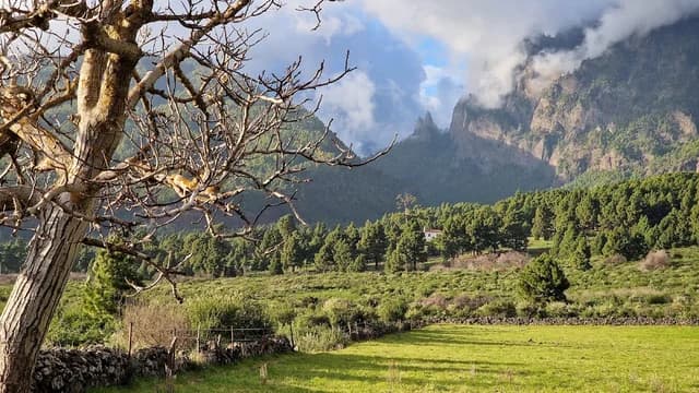 Llano de Las Cuevas