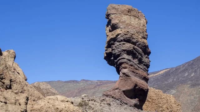 Roque Cinchado