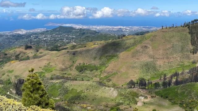 Mirador de Pinos de Gáldar
