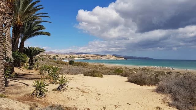 Playa del Matorral