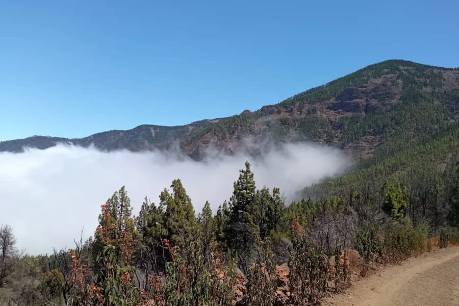 Sendero La Caldera-Aguamansa