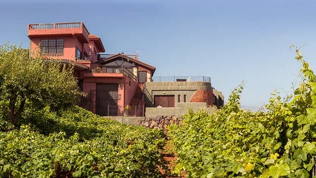 Bodegas Monje