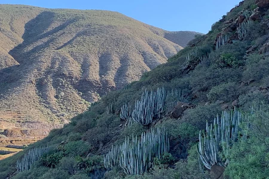 Monumento Natural de La Montaña de Guaza