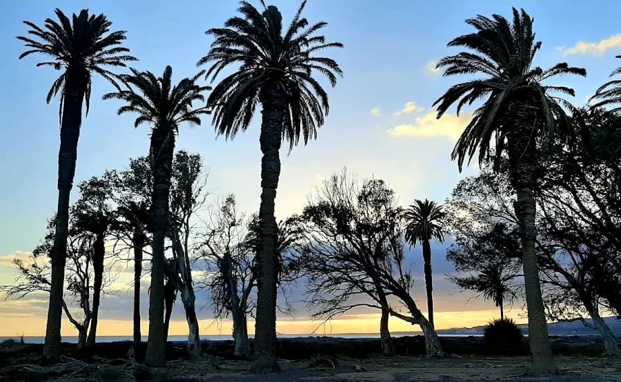 Playa del Cardón