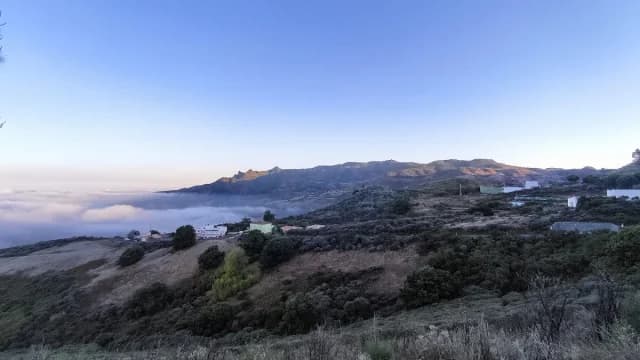 Mirador