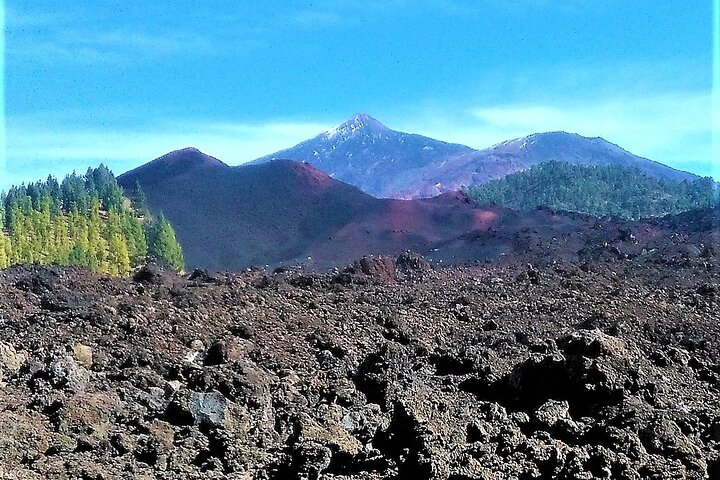 Viajes en el tiempo entre los volcanes Trevejo y Chinyero en Tenerife
