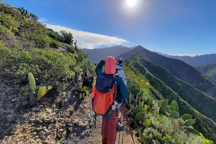 Excursión de senderismo guiado a Masca en Tenerife