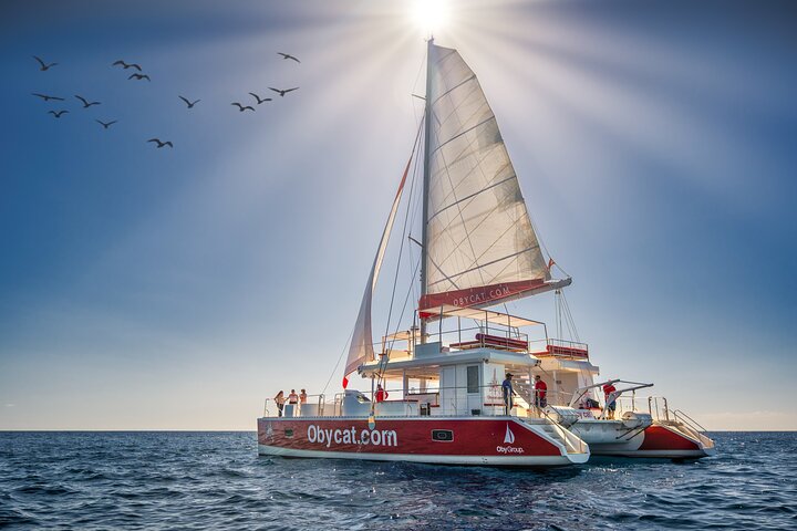 Tour Catamaran Obycat Gran Canaria
