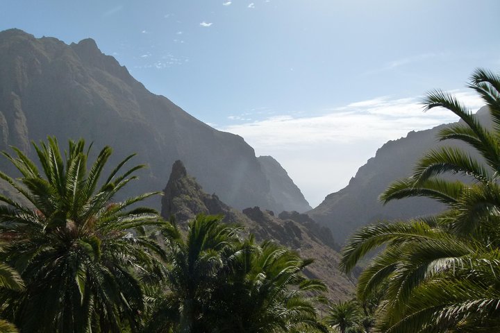 Recorrido de un día completo por lo más destacado de Tenerife