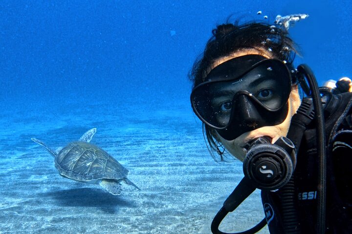 Curso de buceo Open Water en Tenerife