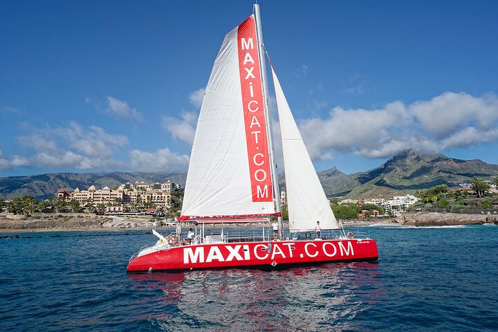 Tour con Avistamiento de Ballenas y Delfines más comida incluida