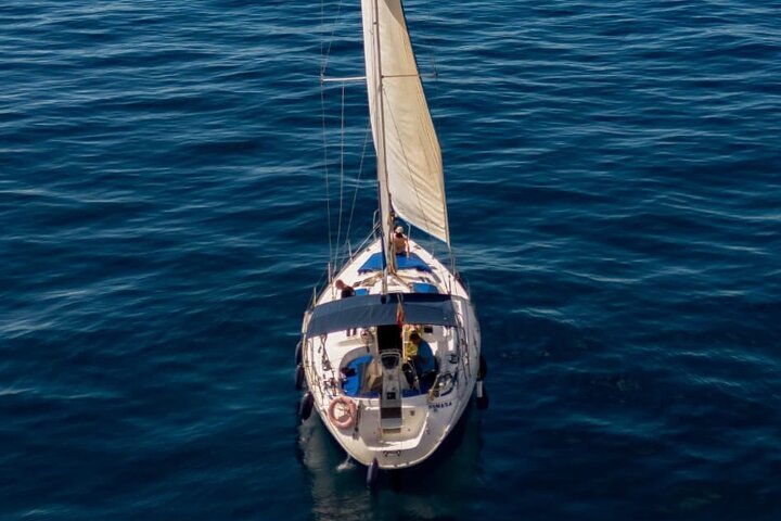 Excursión en velero compartido para descubrir los Calderones Comunes