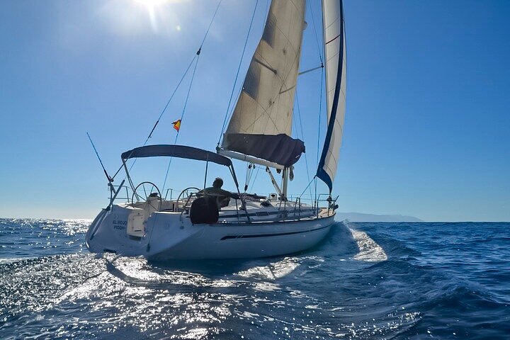 Excursión en velero de Delfines y Ballenas en Los Gigantes